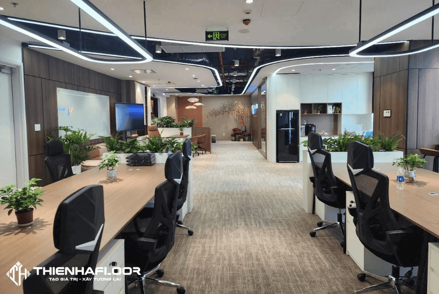 Star Field Carpet for office in District 2, Ho Chi Minh City