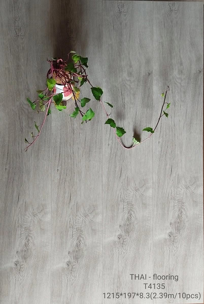 Sàn Gỗ Thai Floor T4135