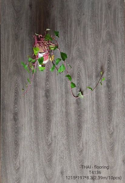 Sàn Gỗ Thai Floor T4136