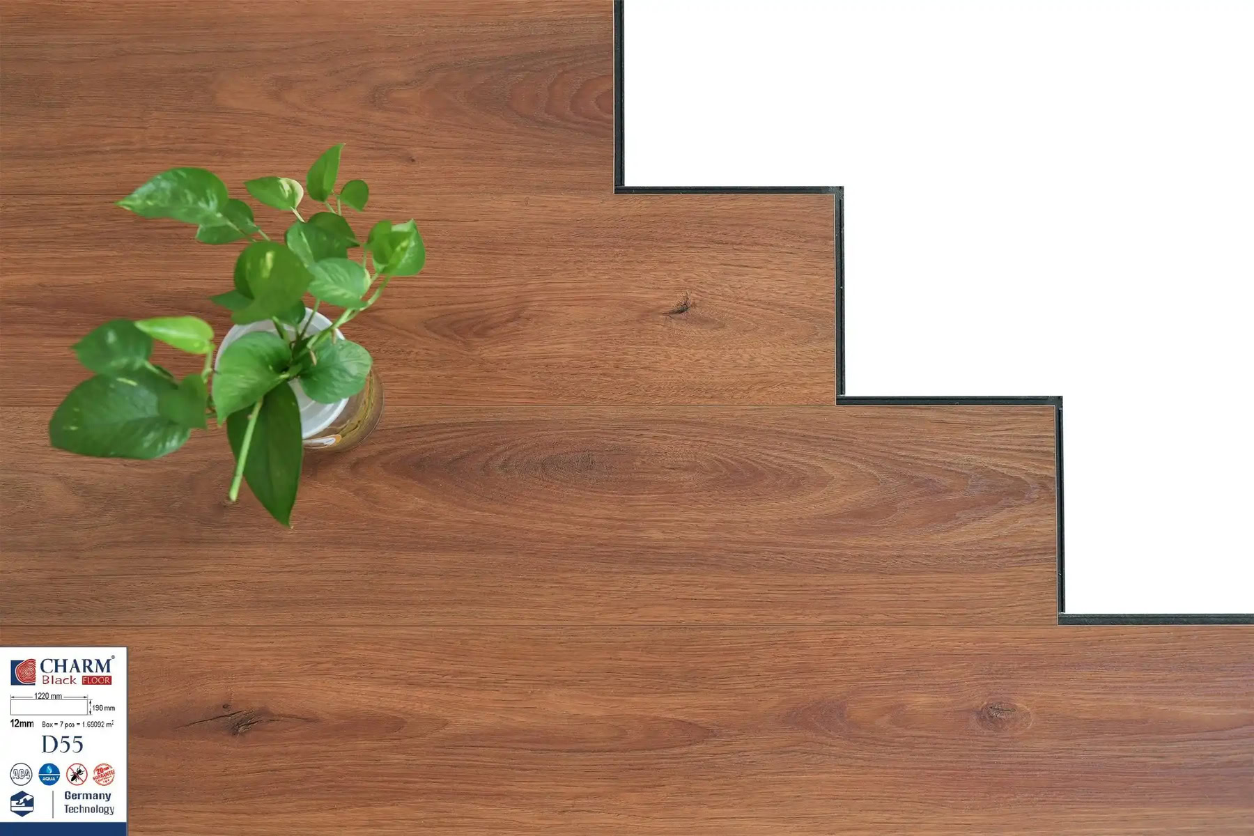 Charm Wood D55 Laminate Flooring