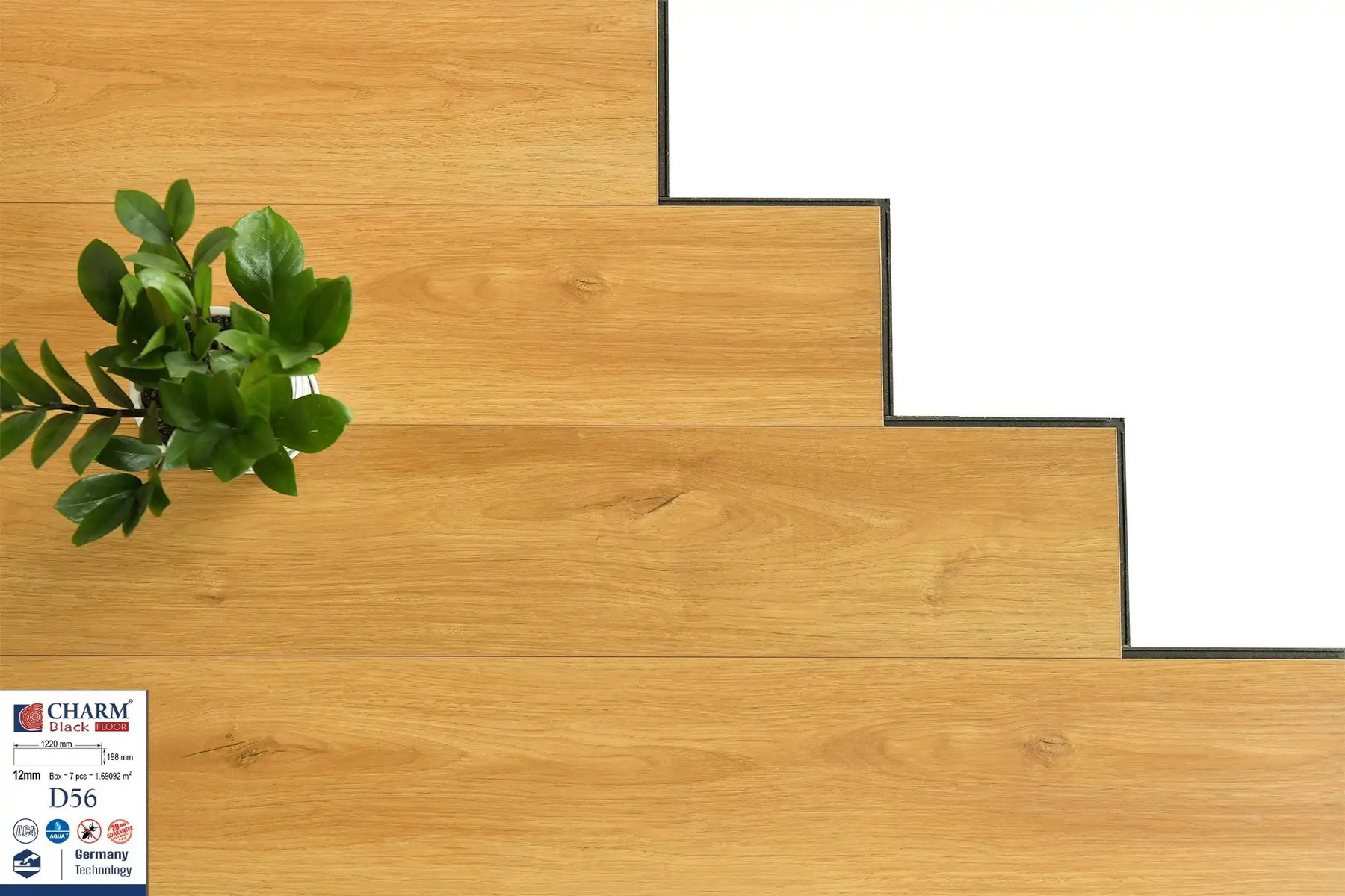 Charm Wood D56 Laminate Flooring