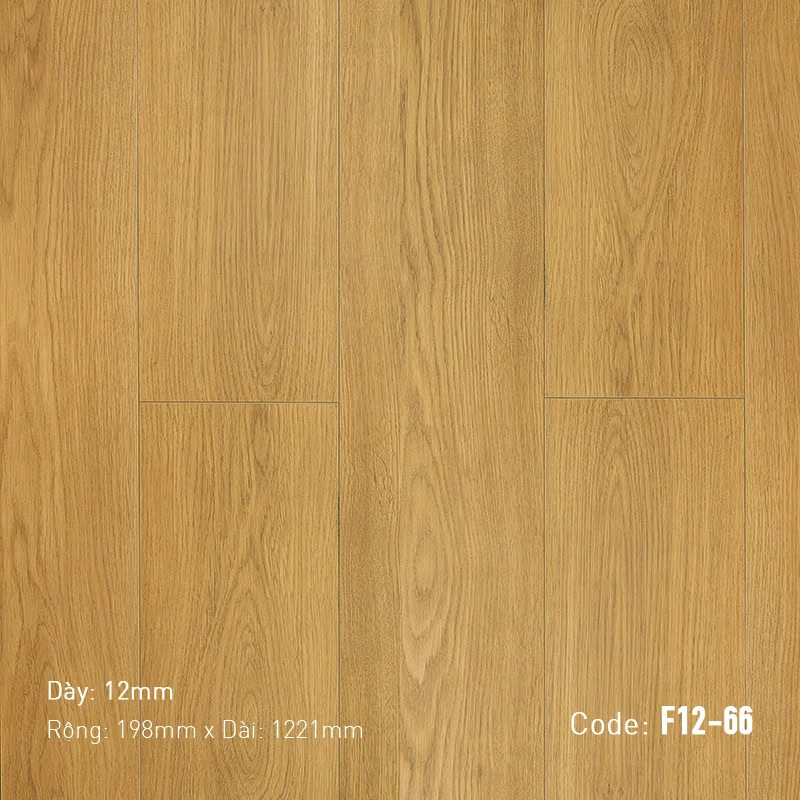 Sàn Gỗ Nam Việt F12-66