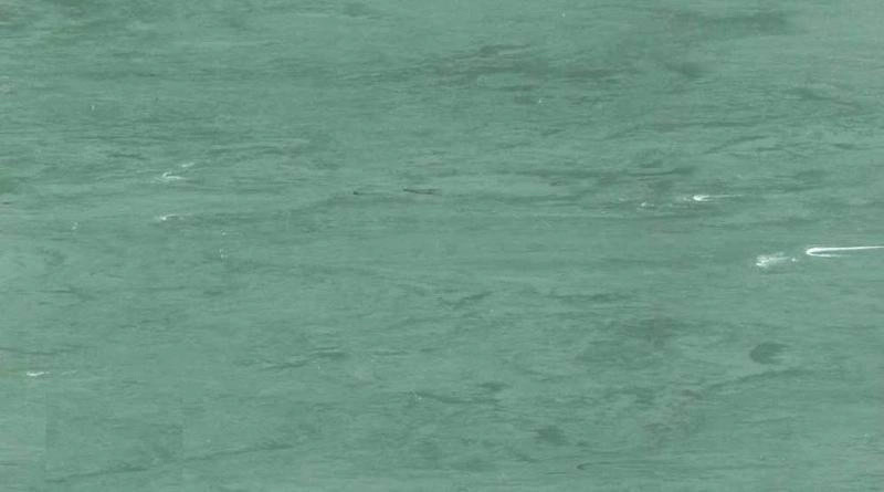 Gerflor Mipolam 180-2019 Antibacterial Vinyl Flooring