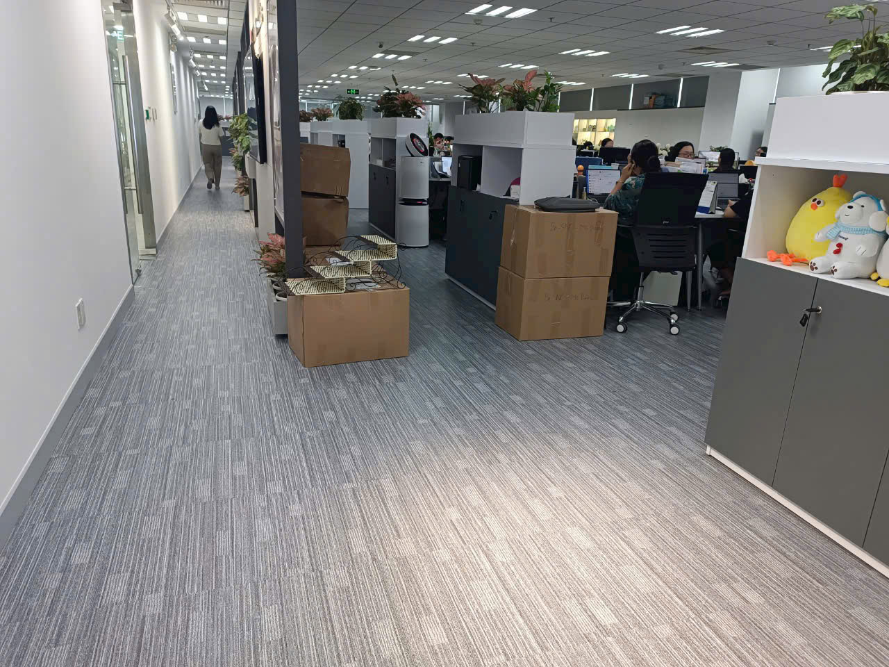 Galaxy Eco GC2202 Vinyl Flooring