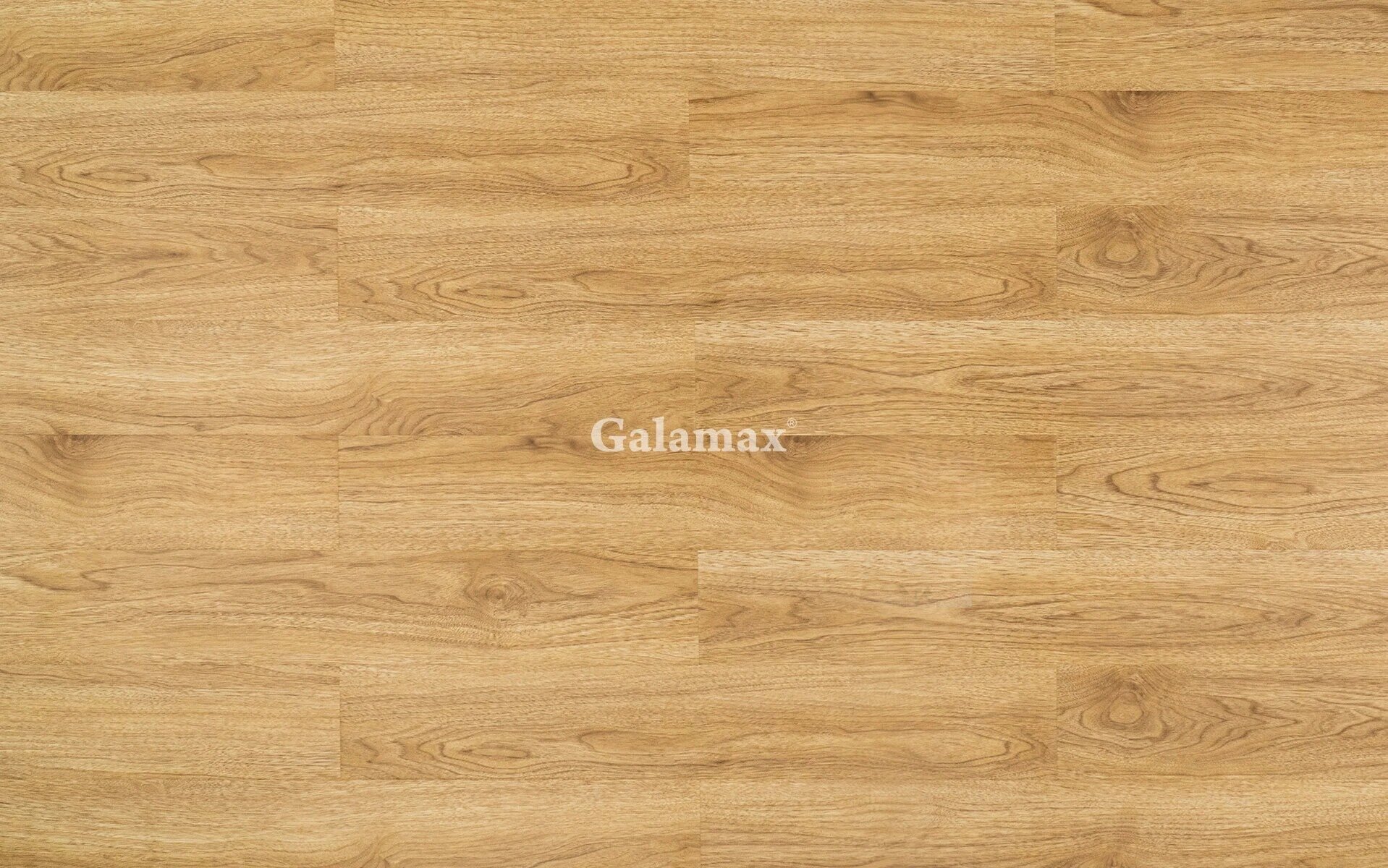 Sàn gỗ Galamax 8mm mặt bóng BG229