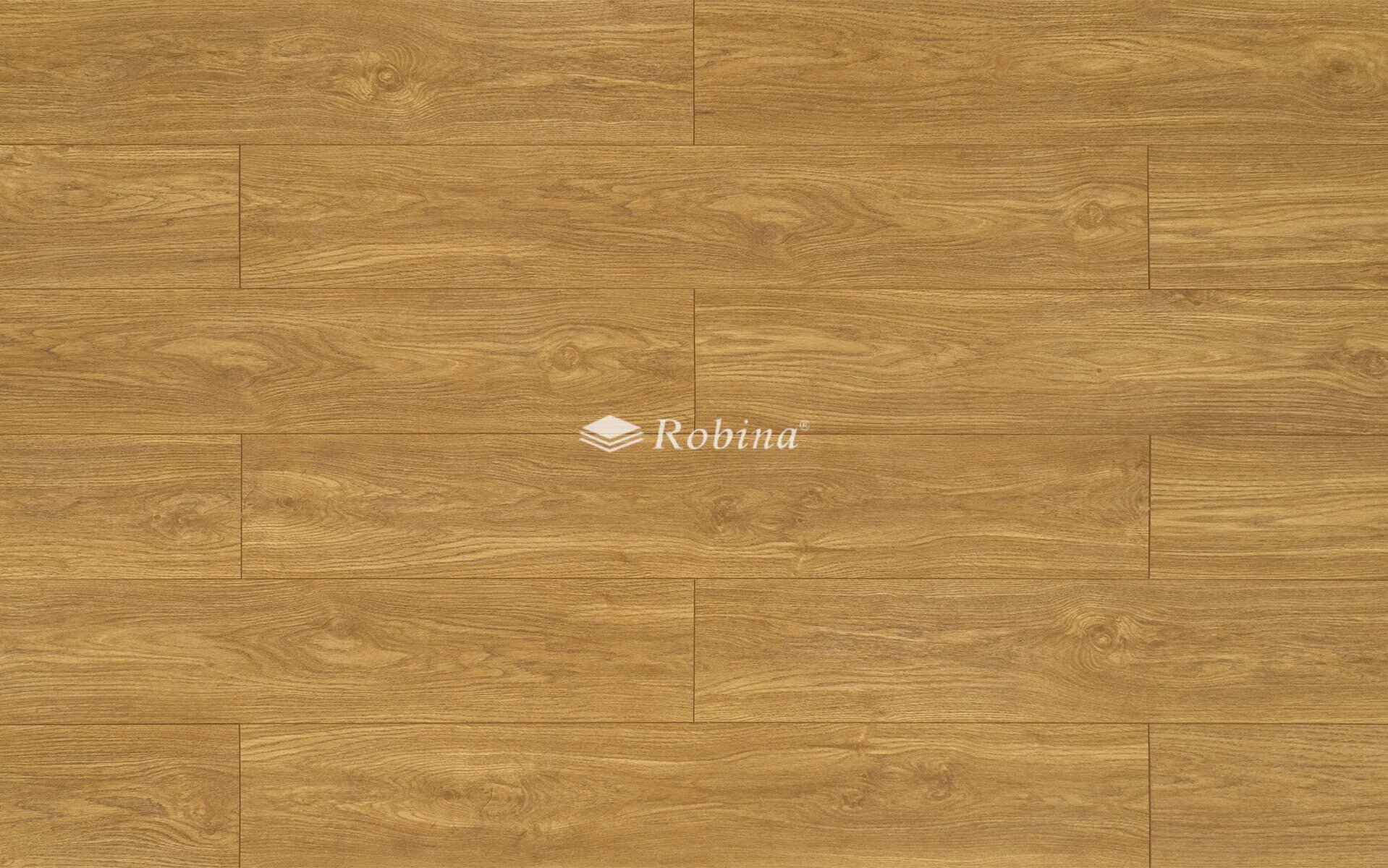 Robina AB314 8mm Large Plank Laminate Flooring