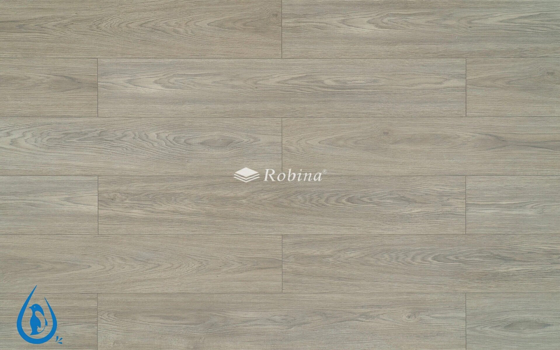 Robina Aqua AQ2359 8mm Laminate Flooring