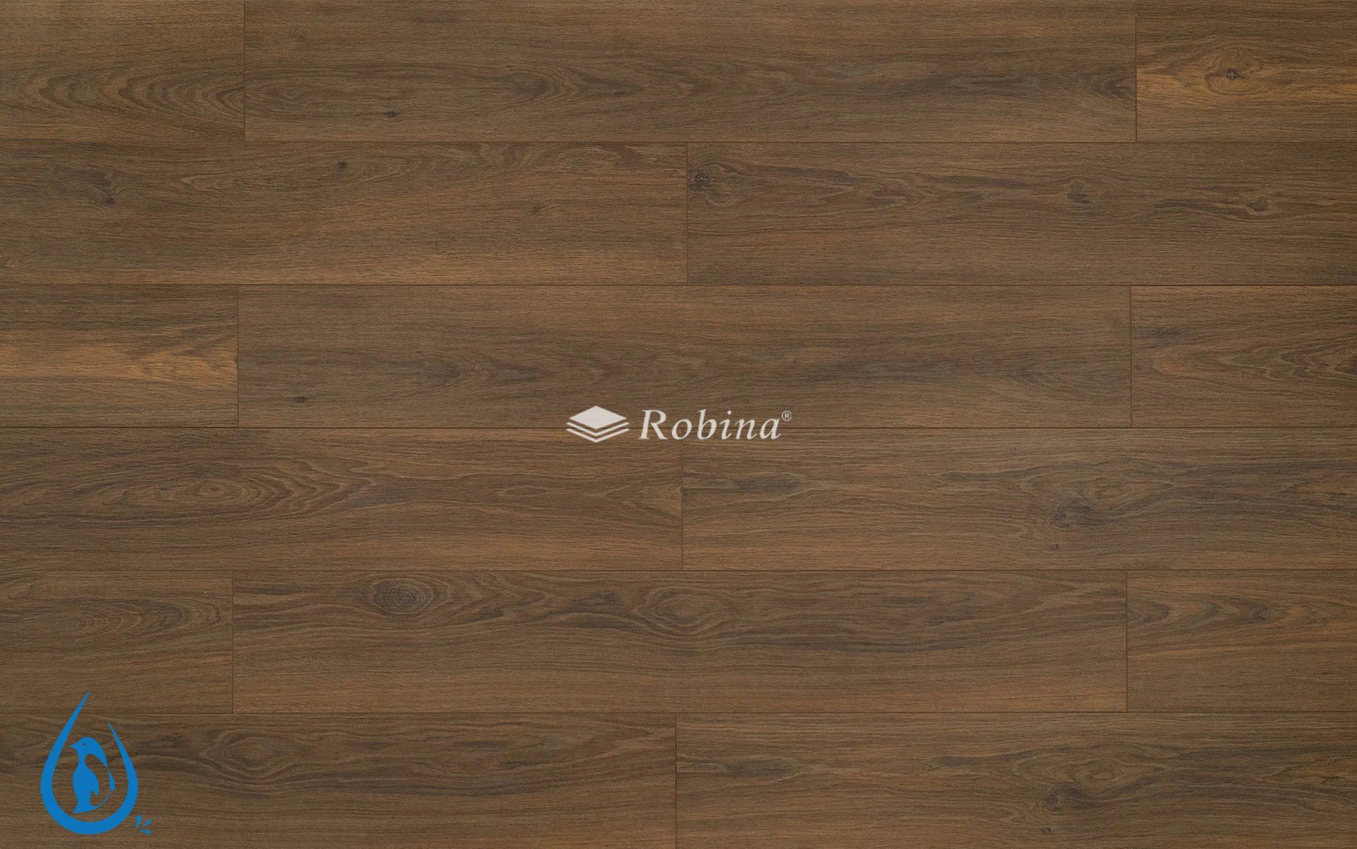 Robina Aqua AQ6428 8mm Laminate Flooring